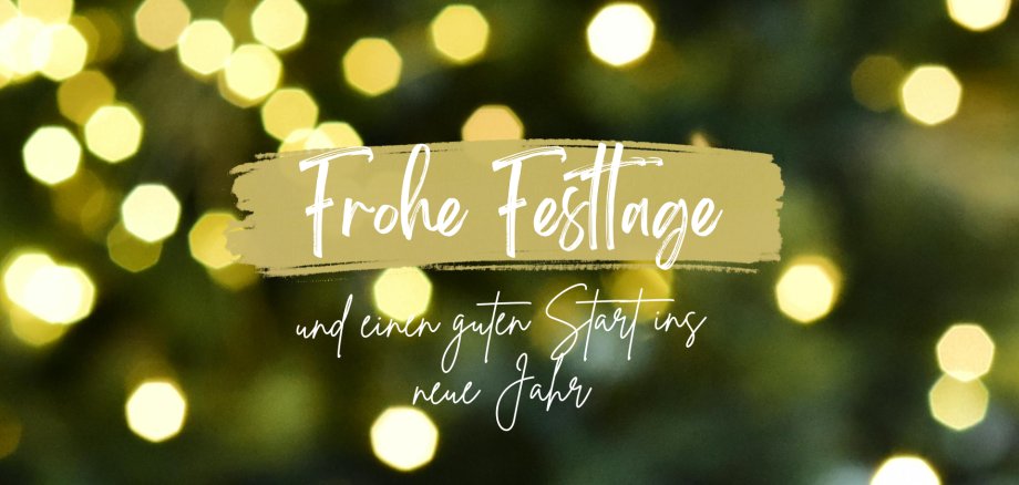 Unscharfer Hintergrund mit warmen, goldenen Lichtern. In der Mitte steht der Text „Frohe Festtage und einen guten Start ins neue Jahr“ auf einem hellen, gemalten Balken.