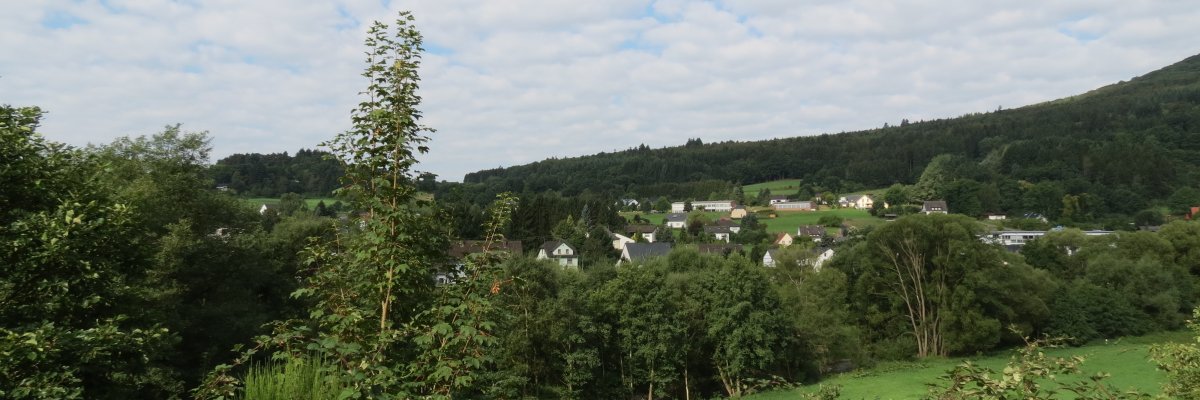 Blick auf den Ort Antweiler 