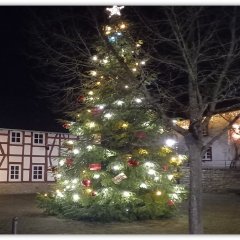 Weihnachtsbaum mit Krippe in Antweiler 