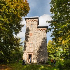 Turm der Schlossruine Aremberg 
