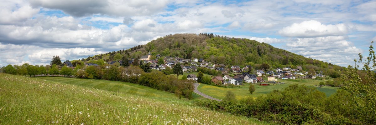 Grüne Wiese mit Löwenzahn im Vordergrund, dahinter der Ort Aremberg im Hintergrund der bewaldete Aremberg unter teils bewölktem Himmel.