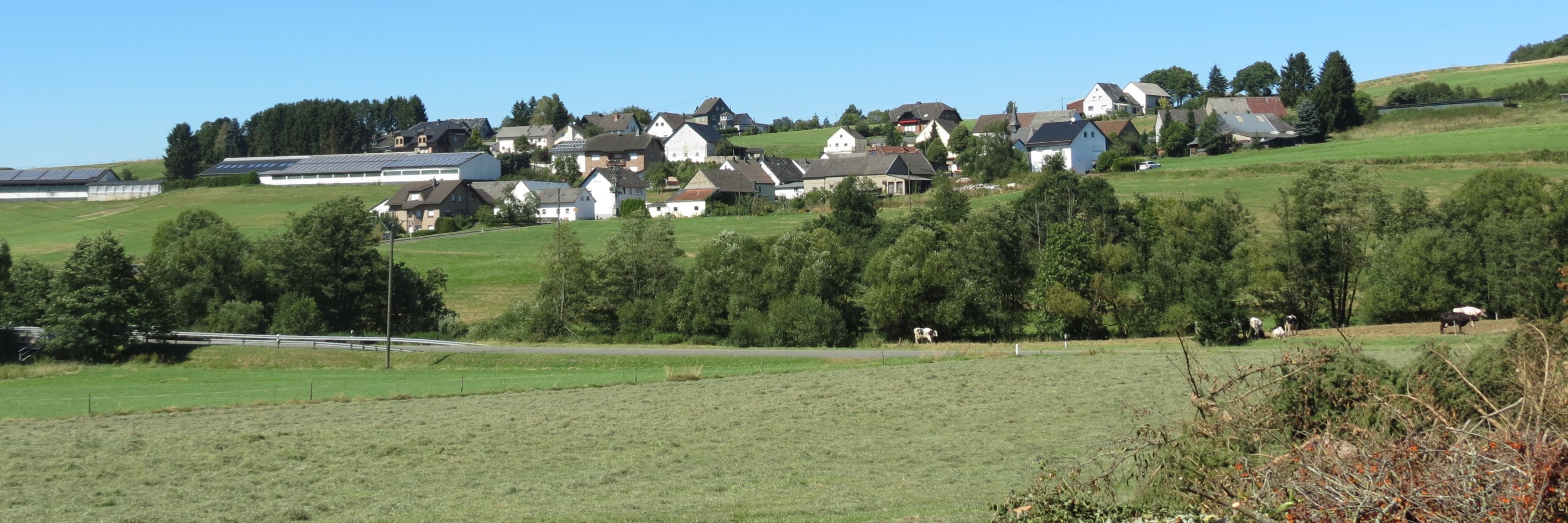Bauler Verbandsgemeinde Adenau