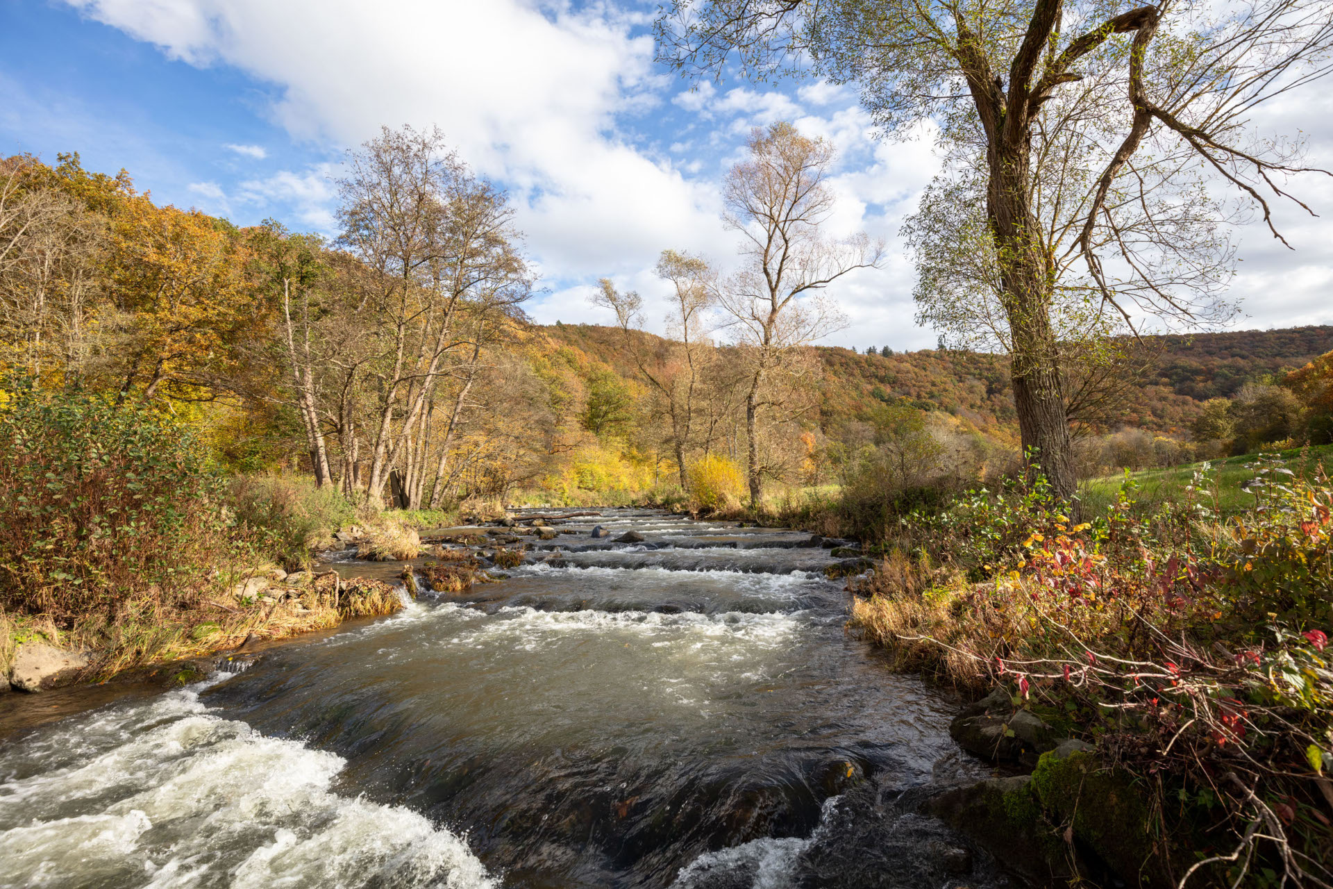 Flacher, schnell fließender Fluss in einer herbstlichen Auenlandschaft mit Bäumen, Wiesen und bewaldeten Hügeln im Hintergrund