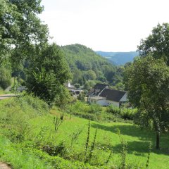 Blick auf Eichenbach 