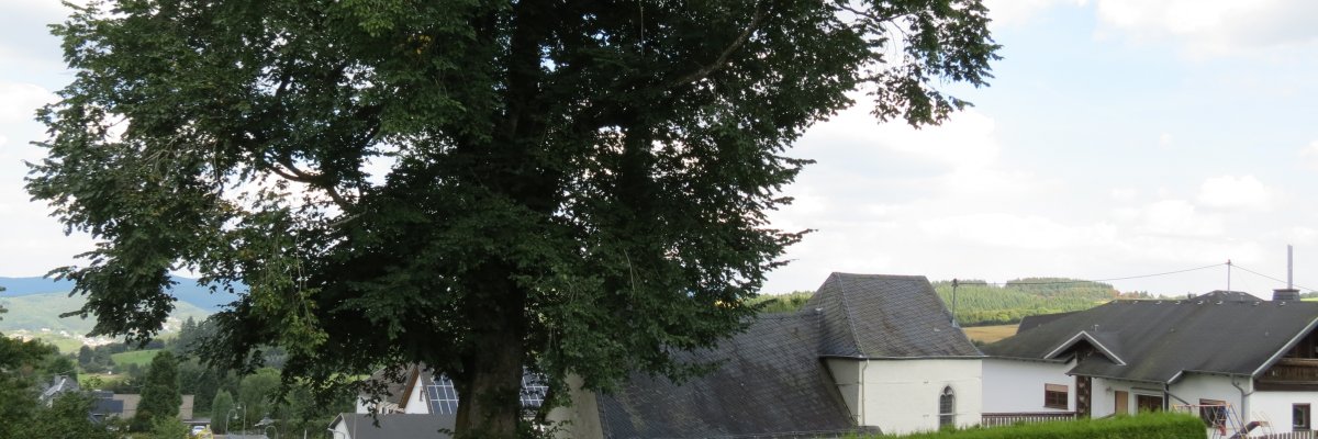 Ortsansicht Kottenborn